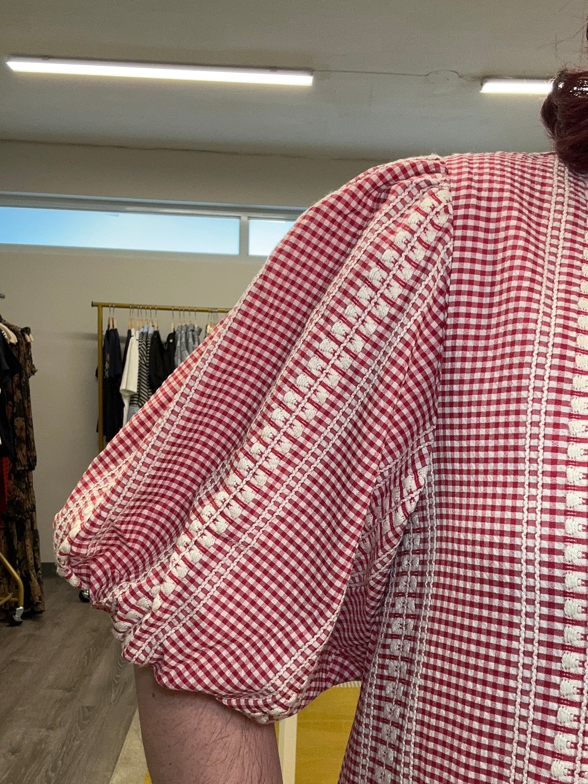 Red Gingham Puff Sleeve Dress